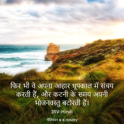 Picture 03 - नीतिवचन 6:8 HINIRV - फिर भी वे अपना आहार - Bible Verse Picture