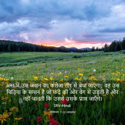 Picture 03 - नीतिवचन 7:23 HINIRV - अन्त में उस जवान का - Bible Verse Picture