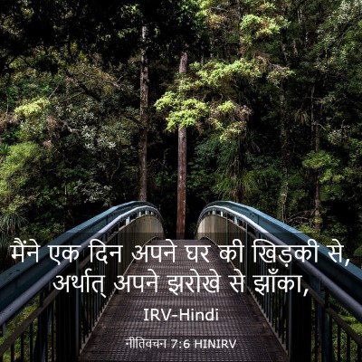 Picture 03 - नीतिवचन 7:6 HINIRV - मैंने एक दिन अपने - Bible Verse Picture