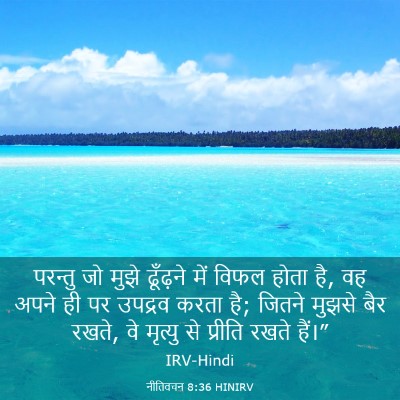 Picture 03 - नीतिवचन 8:36 HINIRV - परन्तु जो मुझे - Bible Verse Picture