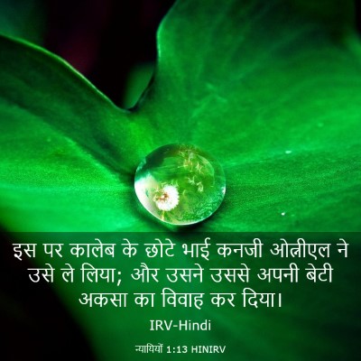Picture 03 - न्यायियों 1:13 HINIRV - इस पर कालेब के छोटे - Bible Verse Picture