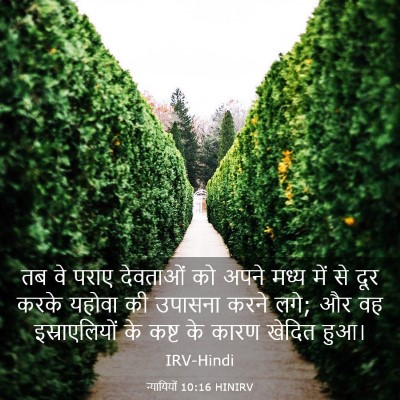 Picture 03 - न्यायियों 10:16 HINIRV - तब वे पराए देवताओं - Bible Verse Picture