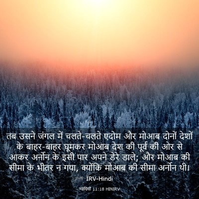 Picture 03 - न्यायियों 11:18 HINIRV - तब उसने जंगल में - Bible Verse Picture