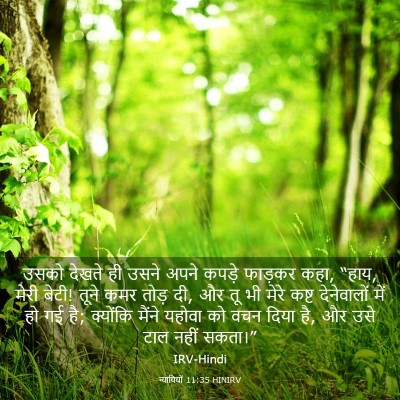 Picture 03 - न्यायियों 11:35 HINIRV - उसको देखते ही उसने - Bible Verse Picture