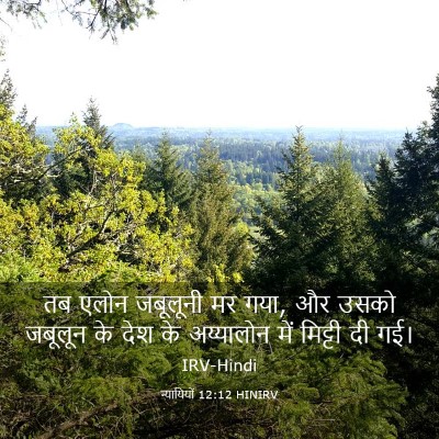 Picture 03 - न्यायियों 12:12 HINIRV - तब एलोन जबूलूनी मर - Bible Verse Picture