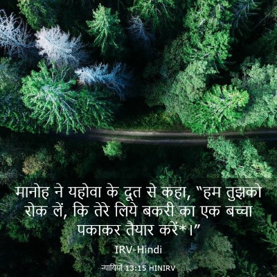 Picture 03 - न्यायियों 13:15 HINIRV - मानोह ने यहोवा के - Bible Verse Picture