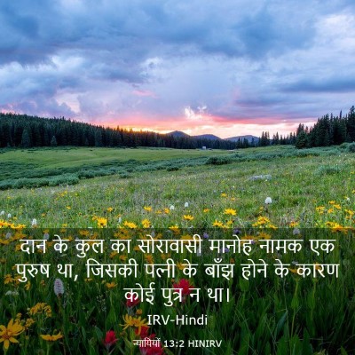 Picture 03 - न्यायियों 13:2 HINIRV - दान के कुल का - Bible Verse Picture