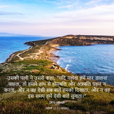 Picture 03 - न्यायियों 13:23 HINIRV - उसकी पत्‍नी ने - Bible Verse Picture