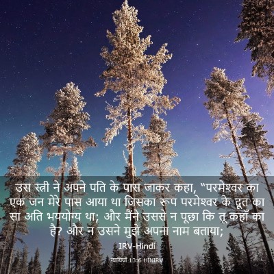 Picture 03 - न्यायियों 13:6 HINIRV - उस स्त्री ने अपने - Bible Verse Picture