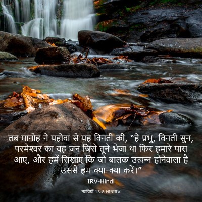 Picture 03 - न्यायियों 13:8 HINIRV - तब मानोह ने यहोवा - Bible Verse Picture