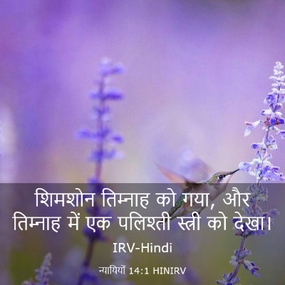 Picture 03 - न्यायियों 14:1 HINIRV - शिमशोन तिम्‍नाह - Bible Verse Picture