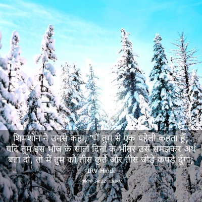 Picture 03 - न्यायियों 14:12 HINIRV - शिमशोन ने उनसे कहा, - Bible Verse Picture