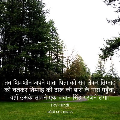 Picture 03 - न्यायियों 14:5 HINIRV - तब शिमशोन अपने - Bible Verse Picture