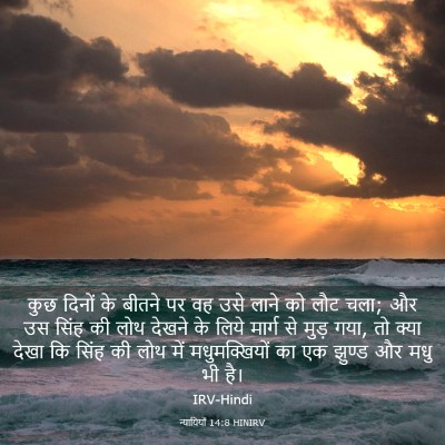 Picture 03 - न्यायियों 14:8 HINIRV - कुछ दिनों के बीतने - Bible Verse Picture
