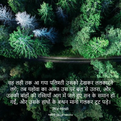 Picture 03 - न्यायियों 15:14 HINIRV - वह लही तक आ गया - Bible Verse Picture