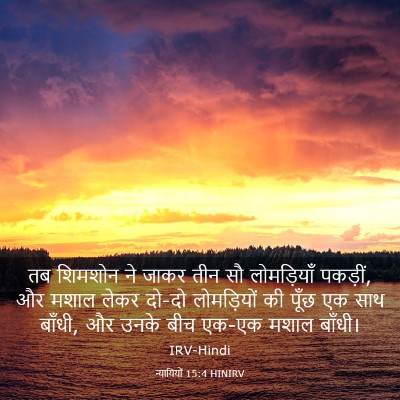 Picture 03 - न्यायियों 15:4 HINIRV - तब शिमशोन ने जाकर - Bible Verse Picture