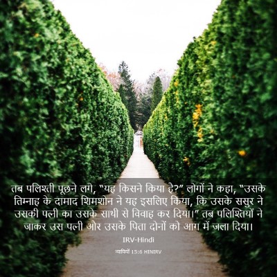 Picture 03 - न्यायियों 15:6 HINIRV - तब पलिश्ती पूछने - Bible Verse Picture