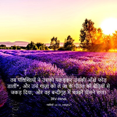 Picture 03 - न्यायियों 16:21 HINIRV - तब पलिश्तियों ने - Bible Verse Picture