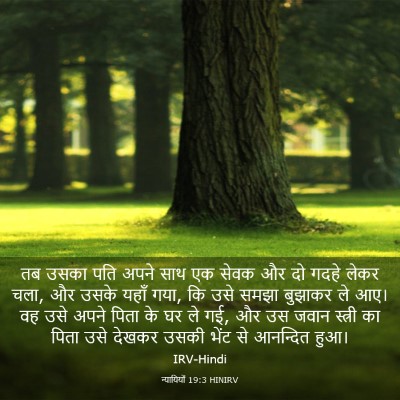 Picture 03 - न्यायियों 19:3 HINIRV - तब उसका पति अपने - Bible Verse Picture