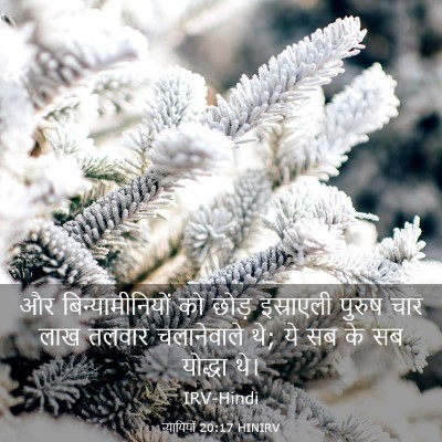Picture 03 - न्यायियों 20:17 HINIRV - और बिन्यामीनियों - Bible Verse Picture