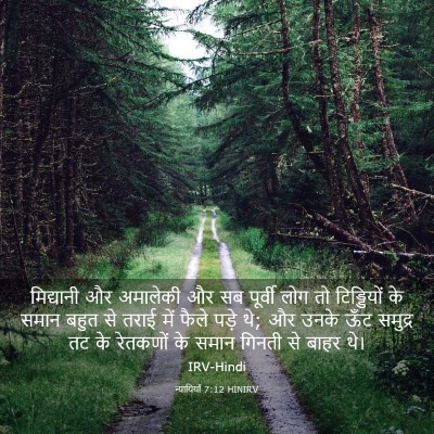 Picture 03 - न्यायियों 7:12 HINIRV - मिद्यानी और - Bible Verse Picture