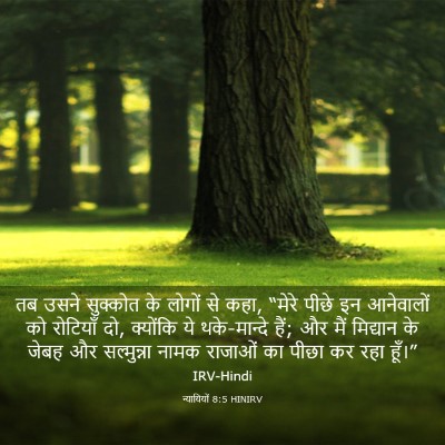 Picture 03 - न्यायियों 8:5 HINIRV - तब उसने सुक्कोत के - Bible Verse Picture