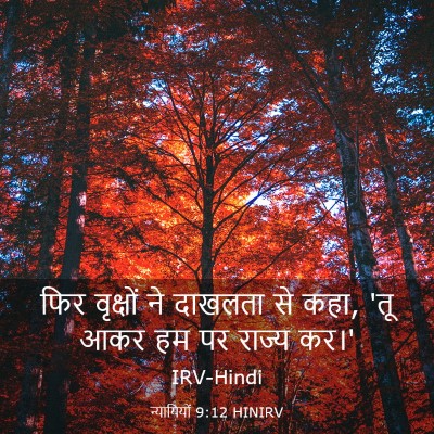 Picture 03 - न्यायियों 9:12 HINIRV - फिर वृक्षों ने - Bible Verse Picture