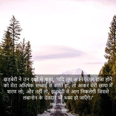 Picture 03 - न्यायियों 9:15 HINIRV - झड़बेरी ने उन - Bible Verse Picture
