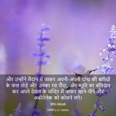 Picture 03 - न्यायियों 9:27 HINIRV - और उन्होंने मैदान - Bible Verse Picture