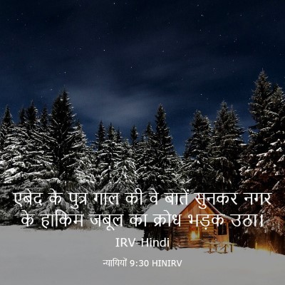 Picture 03 - न्यायियों 9:30 HINIRV - एबेद के पुत्र गाल - Bible Verse Picture