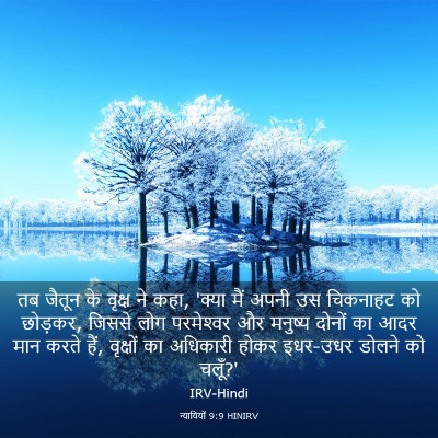 Picture 03 - न्यायियों 9:9 HINIRV - तब जैतून के वृक्ष - Bible Verse Picture