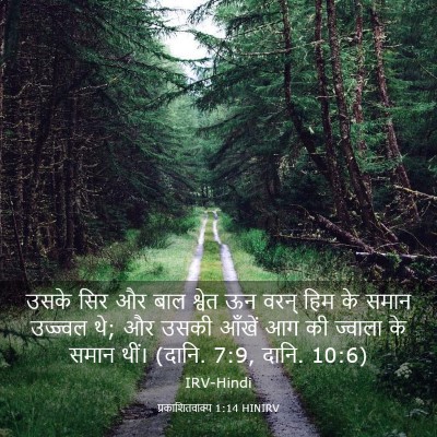 Picture 03 - प्रकाशितवाक्य 1:14 HINIRV - उसके सिर और बाल - Bible Verse Picture
