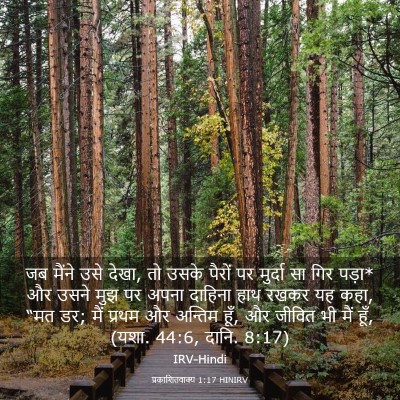 Picture 03 - प्रकाशितवाक्य 1:17 HINIRV - जब मैंने उसे देखा, - Bible Verse Picture