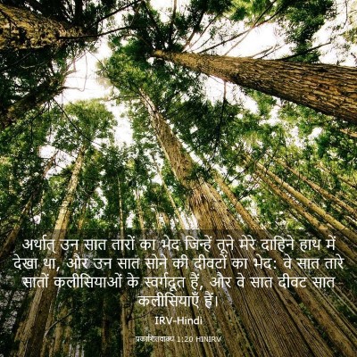 Picture 03 - प्रकाशितवाक्य 1:20 HINIRV - अर्थात् उन सात - Bible Verse Picture