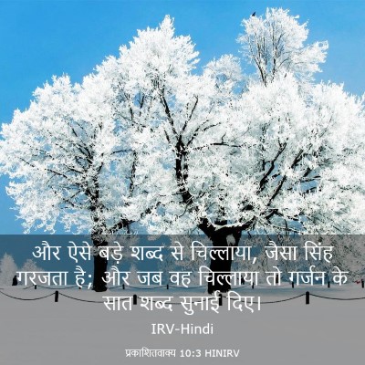 Picture 03 - प्रकाशितवाक्य 10:3 HINIRV - और ऐसे बड़े शब्द से - Bible Verse Picture