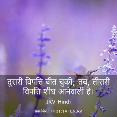 Picture 03 - प्रकाशितवाक्य 11:14 HINIRV - दूसरी विपत्ति बीत - Bible Verse Picture