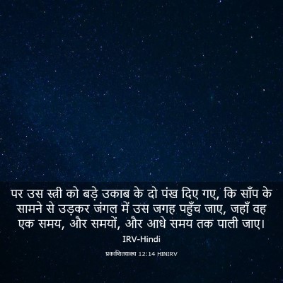 Picture 03 - प्रकाशितवाक्य 12:14 HINIRV - पर उस स्त्री को - Bible Verse Picture