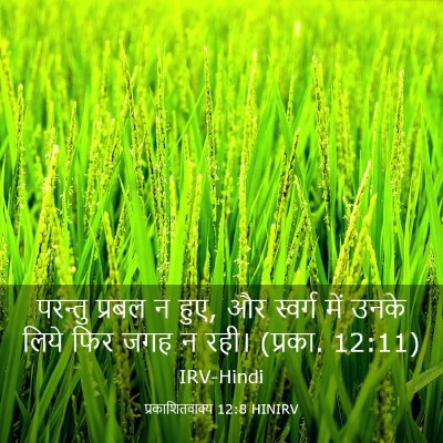 Picture 03 - प्रकाशितवाक्य 12:8 HINIRV - परन्तु प्रबल न हुए, - Bible Verse Picture