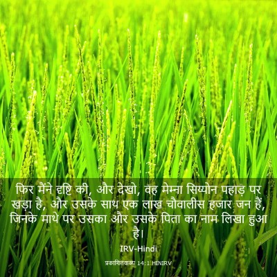 Picture 03 - प्रकाशितवाक्य 14:1 HINIRV - फिर मैंने दृष्टि - Bible Verse Picture