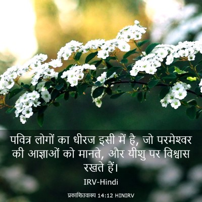 Picture 03 - प्रकाशितवाक्य 14:12 HINIRV - पवित्र लोगों का - Bible Verse Picture