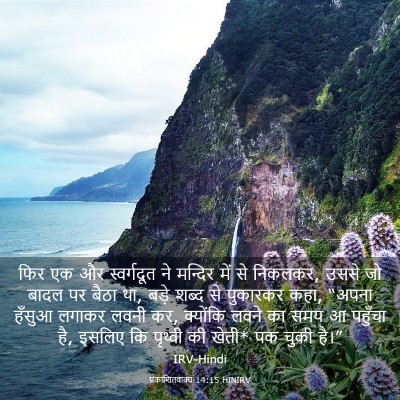 Picture 03 - प्रकाशितवाक्य 14:15 HINIRV - फिर एक और - Bible Verse Picture