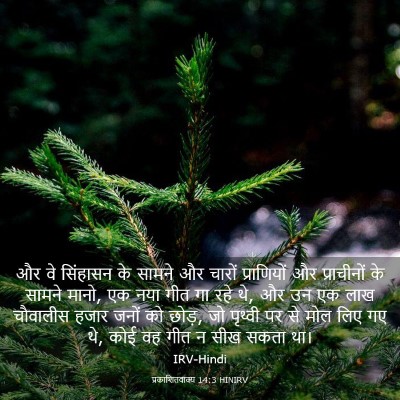 Picture 03 - प्रकाशितवाक्य 14:3 HINIRV - और वे सिंहासन के - Bible Verse Picture