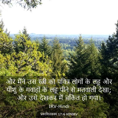 Picture 03 - प्रकाशितवाक्य 17:6 HINIRV - और मैंने उस स्त्री - Bible Verse Picture