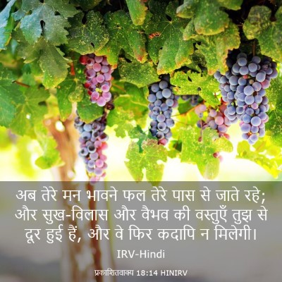 Picture 03 - प्रकाशितवाक्य 18:14 HINIRV - अब तेरे मन भावने फल - Bible Verse Picture
