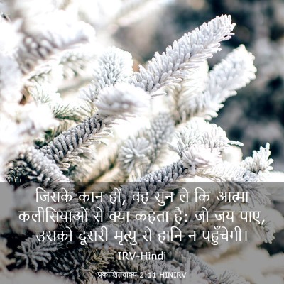 Picture 03 - प्रकाशितवाक्य 2:11 HINIRV - जिसके कान हों, वह - Bible Verse Picture