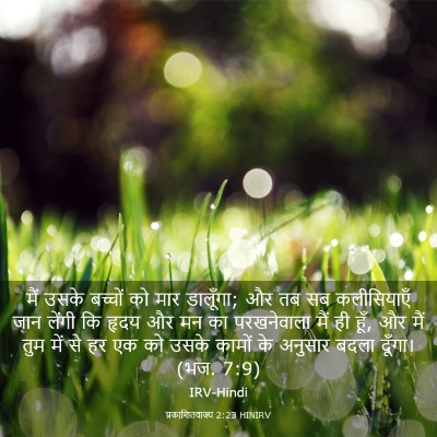 Picture 03 - प्रकाशितवाक्य 2:23 HINIRV - मैं उसके बच्चों को - Bible Verse Picture