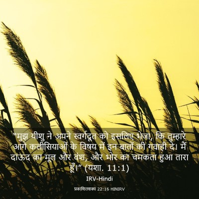Picture 03 - प्रकाशितवाक्य 22:16 HINIRV - “मुझ यीशु ने अपने - Bible Verse Picture