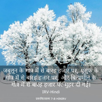 Picture 03 - प्रकाशितवाक्य 7:8 HINIRV - जबूलून के गोत्र - Bible Verse Picture
