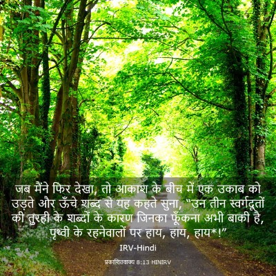 Picture 03 - प्रकाशितवाक्य 8:13 HINIRV - जब मैंने फिर देखा, - Bible Verse Picture