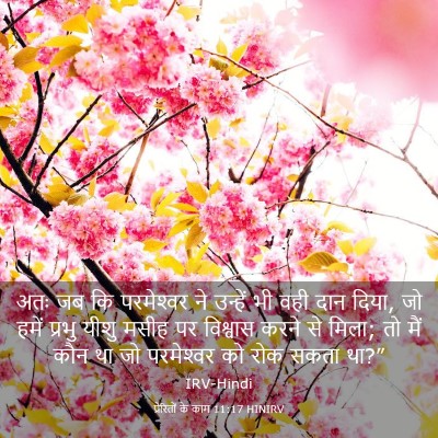 Picture 03 - प्रेरितों के काम 11:17 HINIRV - अतः जब कि - Bible Verse Picture